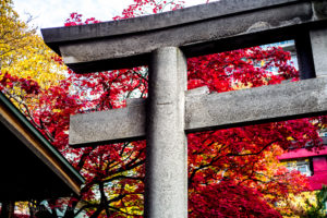 Iyahiko Shrine entrance