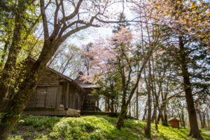 Inari Konpira Shrine grounds