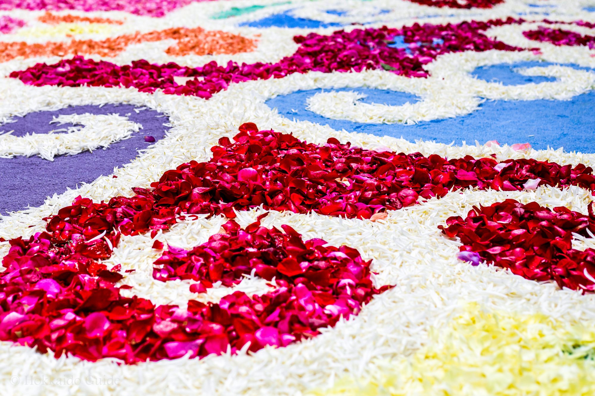 Sapporo Flower Carpet close up