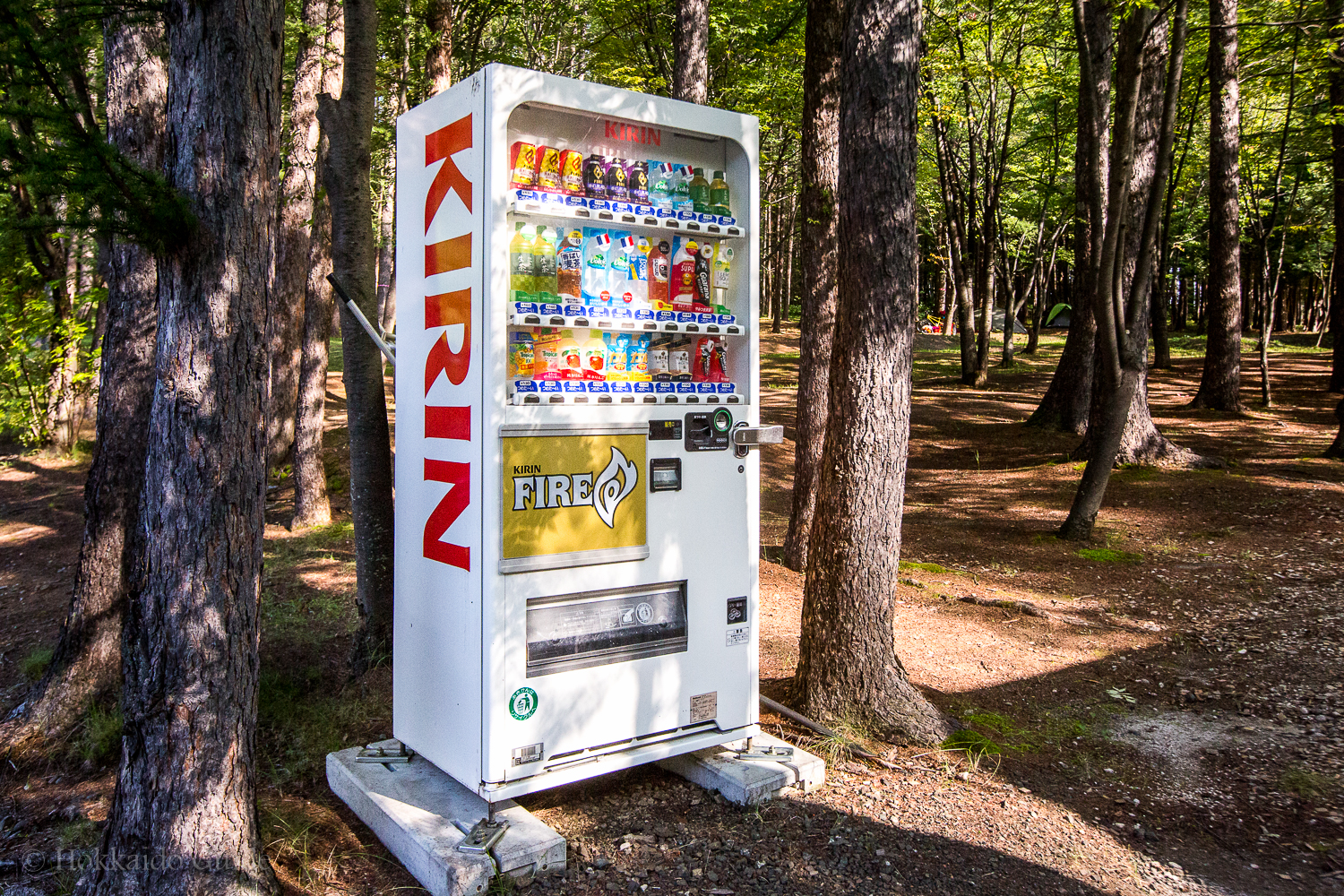 Nakafurano Forest Park drink machine