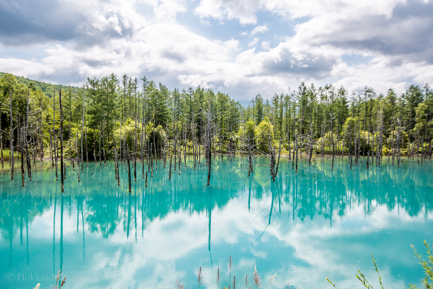 Blue Pond Hokkaido Guide