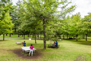 Biei Shirokanebiruke park
