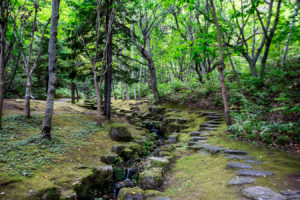 札幌芸術の森野
