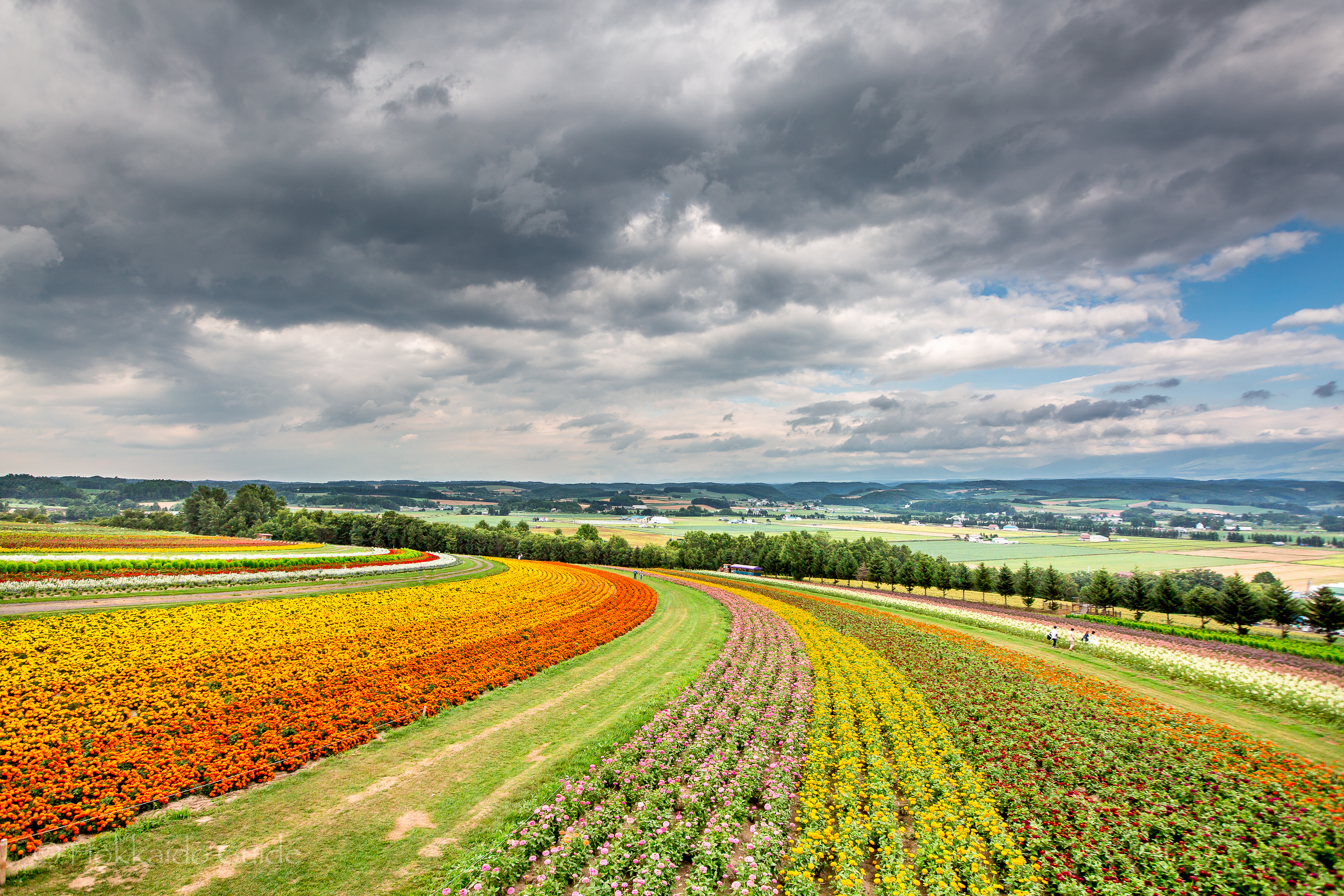 Flower Land Kamifurano - Hokkaido Guide
