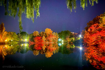 Sapporo Illumination Festival