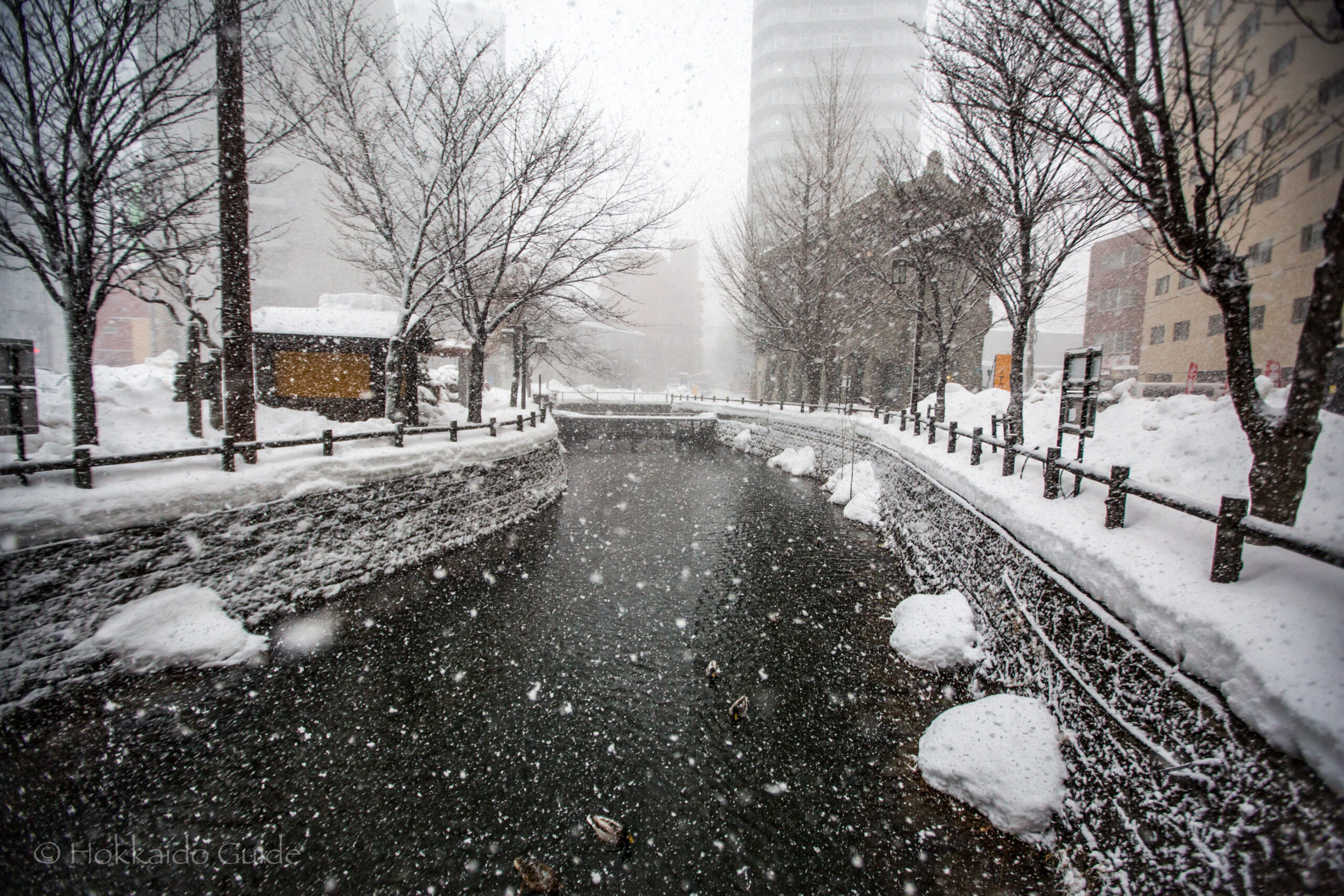 Sosei River