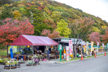 Kuriyama Park & Nakayoshi Zoo